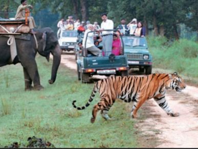 Jim Corbett with Nainital Tour Package